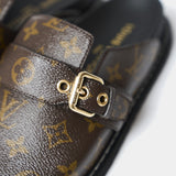 Louis Vuitton Cosy Comfort Clog Monogram