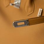 Hermès Birkin 25 Biscuit Togo PHW