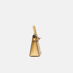 Hermès Mini Kelly 20 Dore Chèvre Chamkilight Permabrass