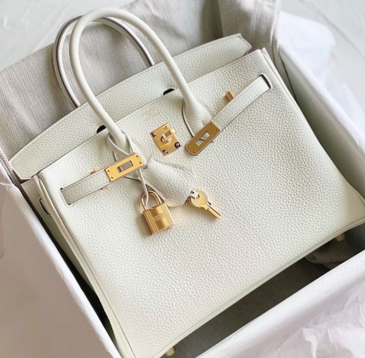 Hermes Birkin 25 Gris Pale Togo Ghw